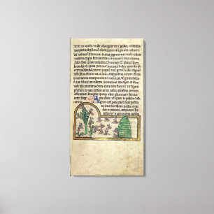 Lienzo Roy Página de texto con ilustracion de