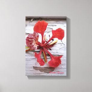 Lienzo Royal Poinciana sobre madera vintage