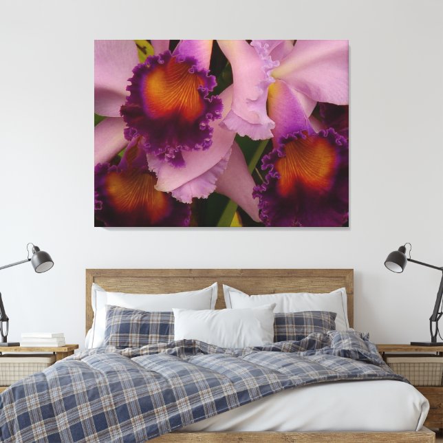 Lienzo Royal Purple Cattleya Orchid (Insitu(Dormitorio))