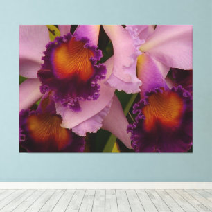 Lienzo Royal Purple Cattleya Orchid