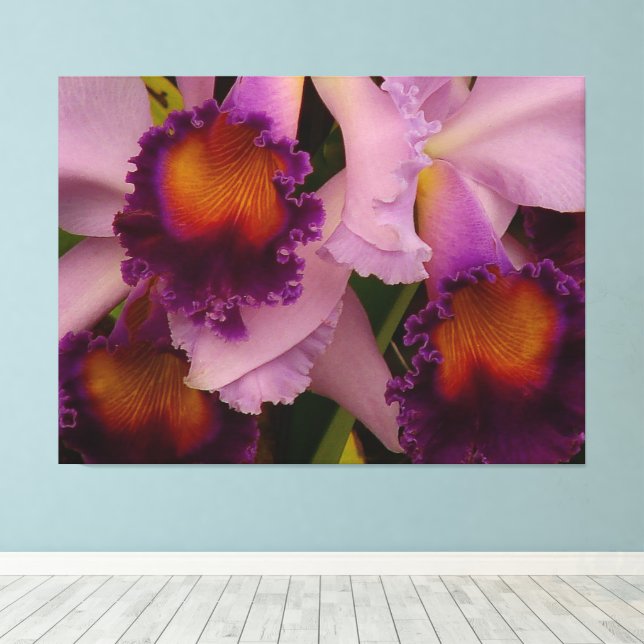 Lienzo Royal Purple Cattleya Orchid (Insitu (piso de madera))