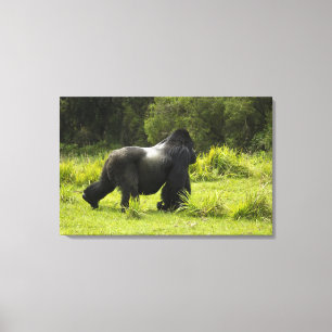 Lienzo Ruanda, Parque Nacional de los Volcanes