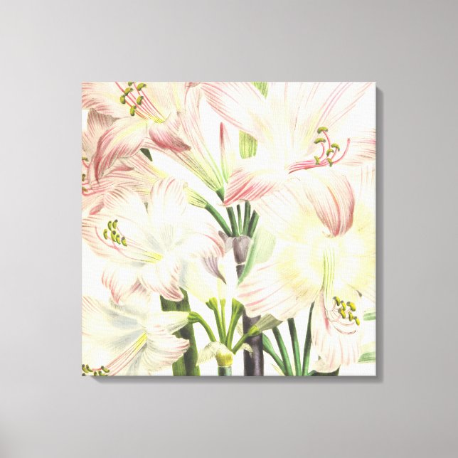 Lienzo Rubor Lilies (Anverso)