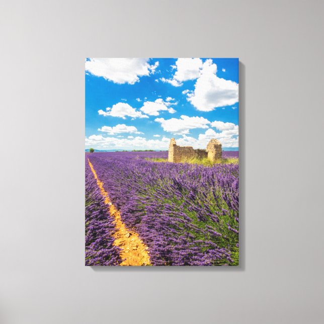 Lienzo Ruina en campo de lavanda, Francia (Anverso)