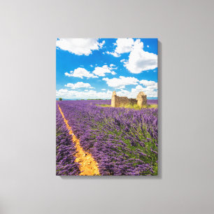 Lienzo Ruina en campo de lavanda, Francia