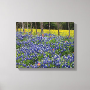 Lienzo Rustic Bluebonnets