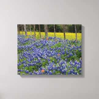 Lienzo Rustic Bluebonnets
