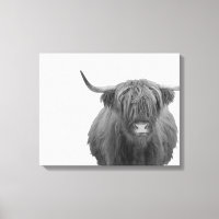 Rústica blanca negra de la vaca Highland