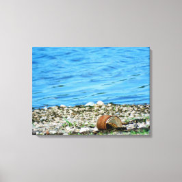 Lienzo Rusty Can De Cerulean Blue Water Livas Acondiciona