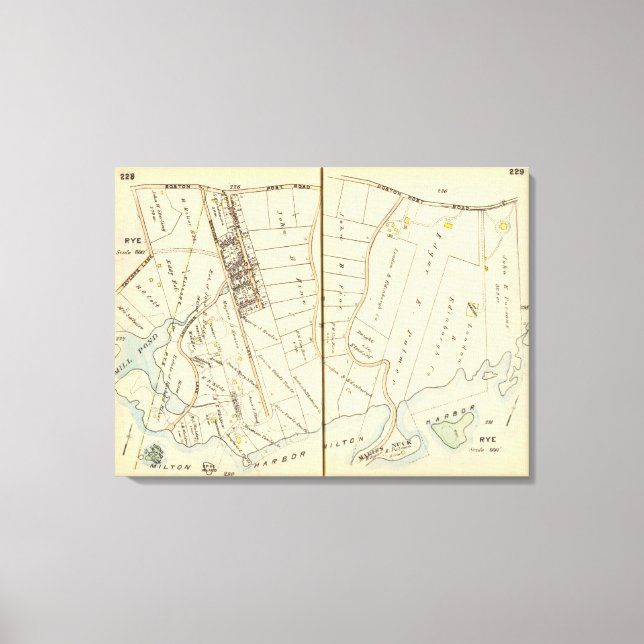 Lienzo Rye 228229 (Anverso)