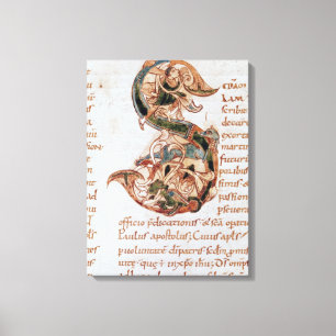 Lienzo S de la inicial de Historiated '