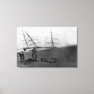 Lienzo S.S. Península de Ilwaco de la ruina de Alicia