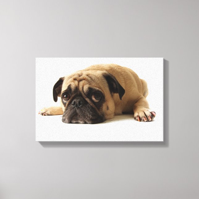 Lienzo Sad Pug (Anverso)