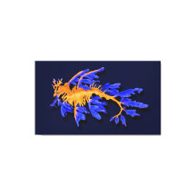 Sadragón dorado y azul ilustrado