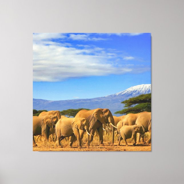 Lienzo Safaris de Elefantes Africanos (Anverso)