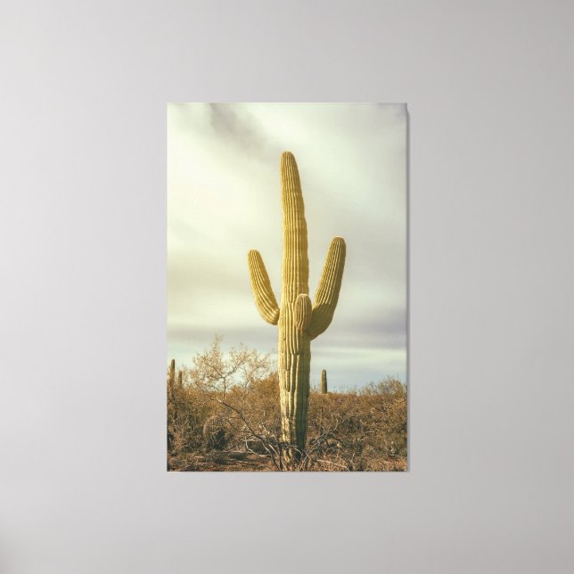Lienzo Saguaro (Anverso)