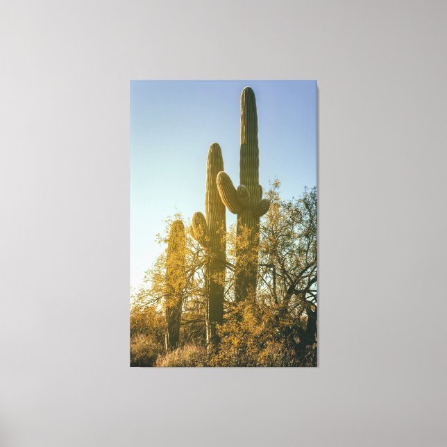 Lienzo Saguaro Cacti (Anverso)