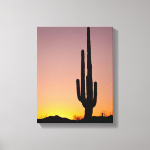 Lienzo Saguaro Cactus al atardecer