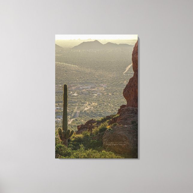 Lienzo Saguaro Cactus Apache Junction Pheonix AZ 24 x 36 (Anverso)