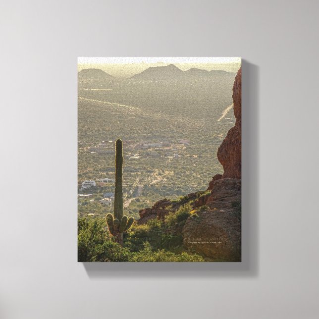 Lienzo Saguaro Cactus Apache Junction y Pheonix AZ 8 x 10 (Anverso)