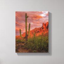 Saguaro Cactus Arizona Terracota Sunset Red 11x14