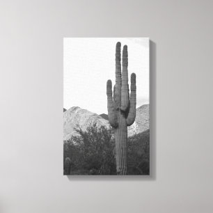 Lienzo Saguaro Cactus Desierto Sonoran B&W Fotografías