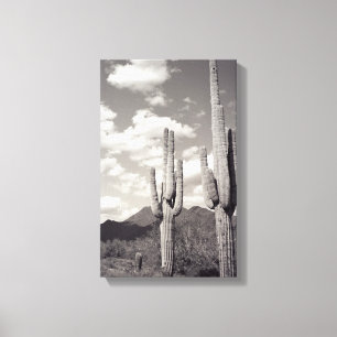 Lienzo Saguaro Cactus Desierto Sonoran B&W Fotografías