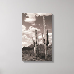 Lienzo Saguaro Cactus Desierto Sonoran B&W Fotografías