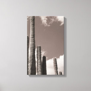 Lienzo Saguaro Cactus Pipes Desert B&W Fotografías