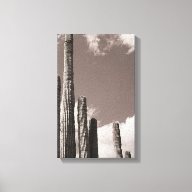 Lienzo Saguaro Cactus Pipes Desert B&W Fotografías (Anverso)