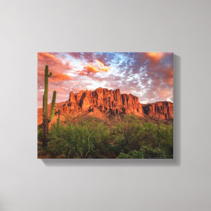 Lienzo Saguaro Cactus Superstition Mountain Sunset 14x11