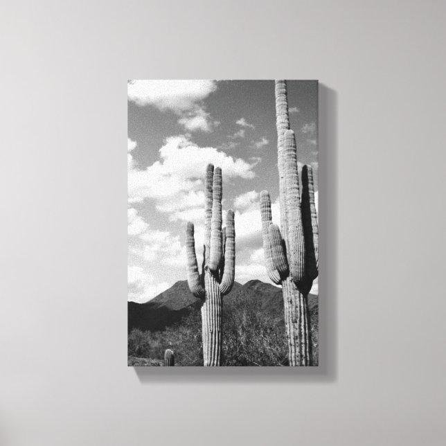 Lienzo Saguaro Sentinels Photo Canvas (Desierto sonoro de (Anverso)