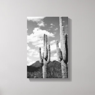Lienzo Saguaro Sentinels Photo Canvas (Desierto sonoro de
