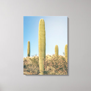 Lienzo Saguaros