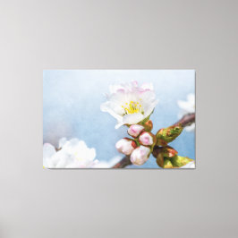 Lienzo Sakura Blossom