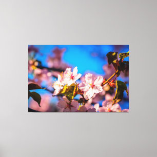 Lienzo Sakura En Rosa Y Azul
