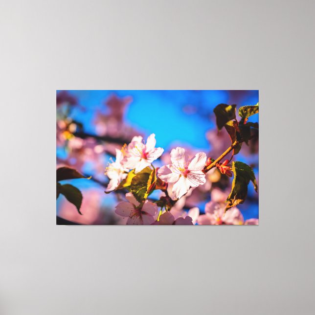 Lienzo Sakura En Rosa Y Azul (Anverso)