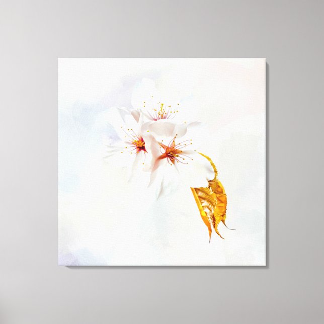 Lienzo Sakura - Flor japonesa de cerezo (Anverso)