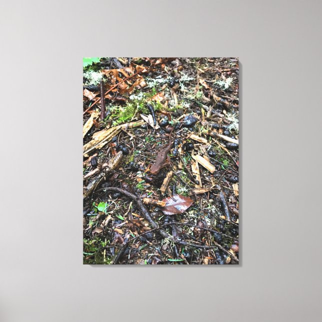 Lienzo Salamander en el bosque, Washington (Anverso)