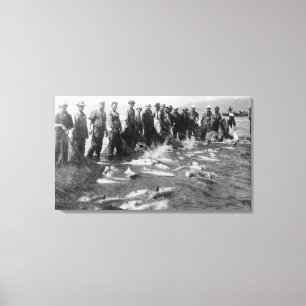 Lienzo Salmón en Astoria, O Fotografía