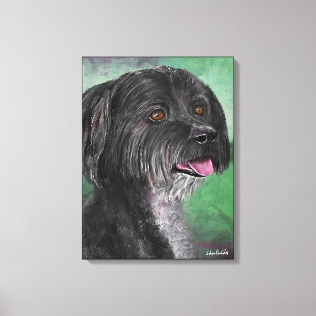 Lienzo salpicar (Anverso)