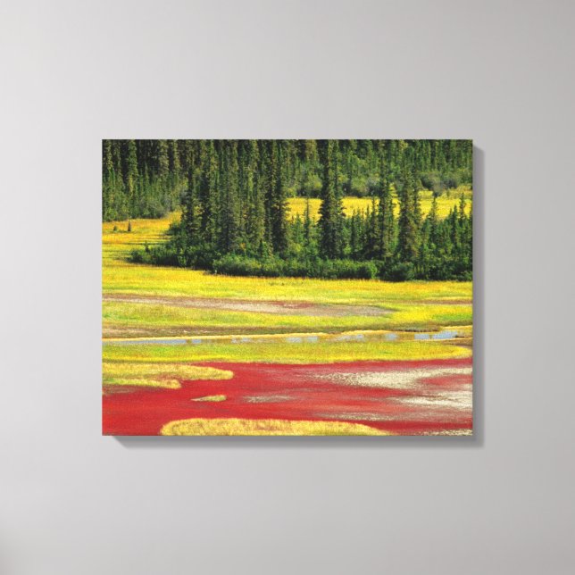 Lienzo Salt Plain & Forest | Wood Buffalo National Park (Anverso)