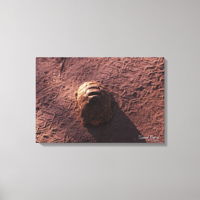 Lienzo Salto de velocidad (Anverso)