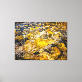 Lienzo Saltos caídos en el agua