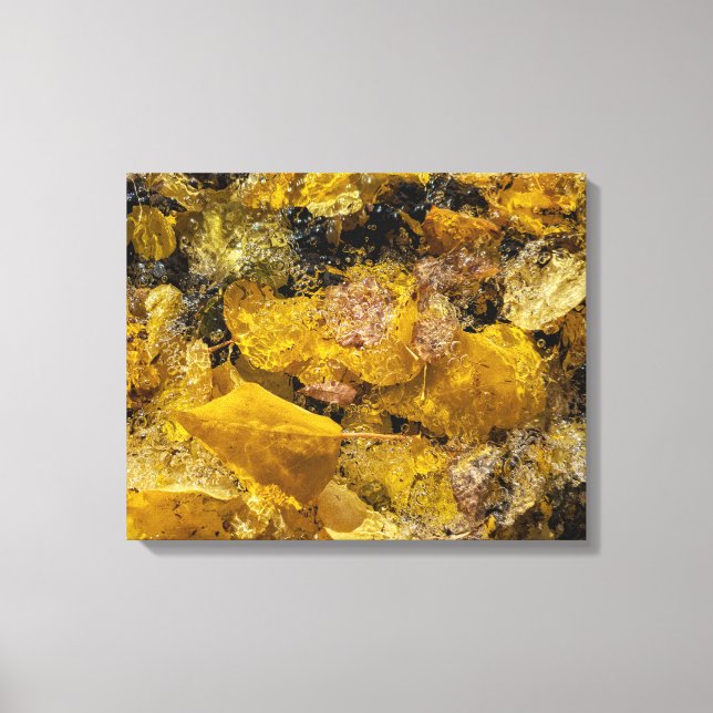 Lienzo Saltos de otoño en el agua (Anverso)