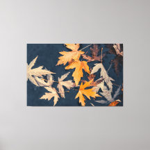 Saltos de otoño en el agua