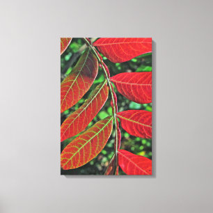 Lienzo Saltos Sumac En Otoño