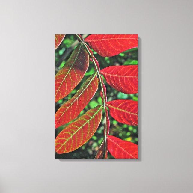Lienzo Saltos Sumac En Otoño (Anverso)