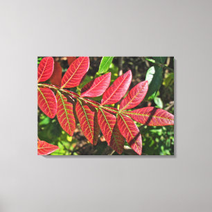 Lienzo Saltos Sumac En Otoño