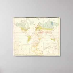 Lienzo Salud, enfermedad